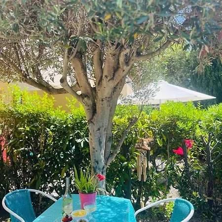 Rdj Avec Piscine Résidence Le Lavandor Appartement Le Lavandou