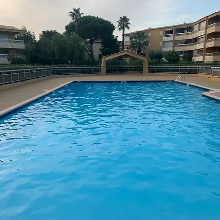 Rdj Avec Piscine Le Lavandor * Le Lavandou