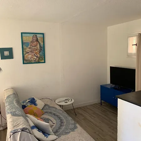 Rdj Avec Piscine Le Lavandor Apartment Le Lavandou