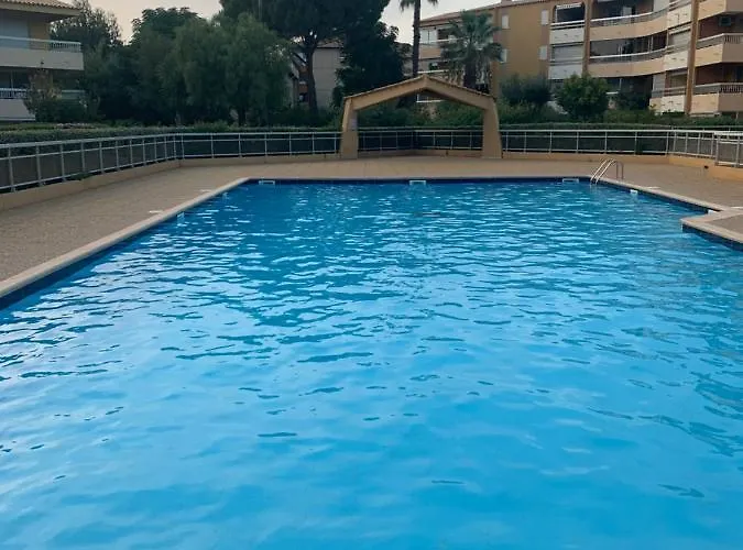 Rdj Avec Piscine Le Lavandor * Le Lavandou